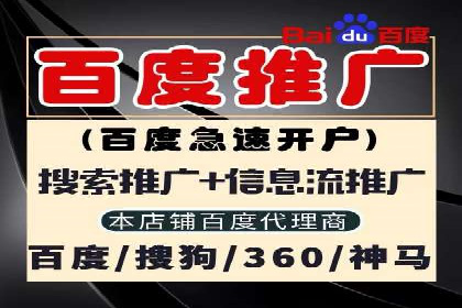 百度竞价赚钱技巧：实战案例分析